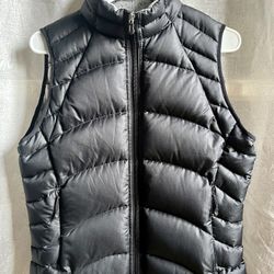 Patagonia Puffer Best