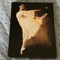 Springbok The Dream Puzzle