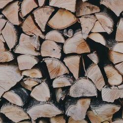 Firewood 