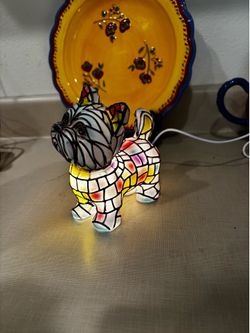 White Yorkie with dark head 4”