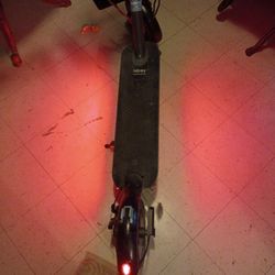 Hiboy  Very Nice A Lot Of Power And Torch