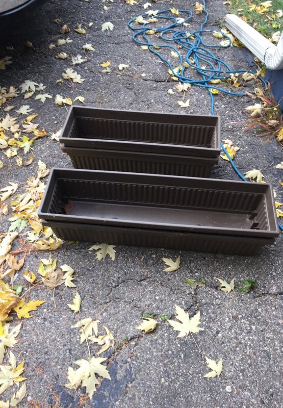 Window box inserts