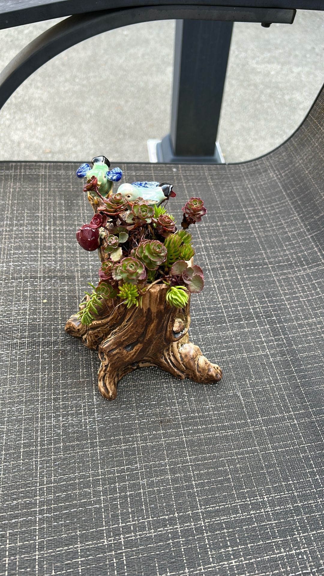 Ceramic Branch W/ Succulent