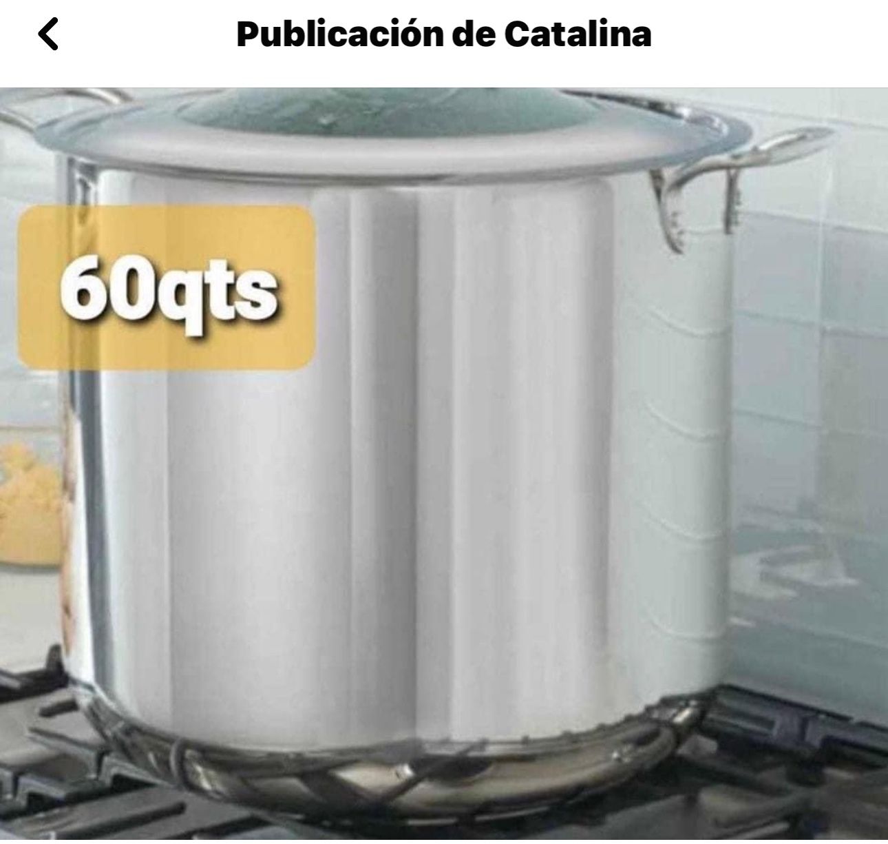 Baporera De 60 Cuartos 