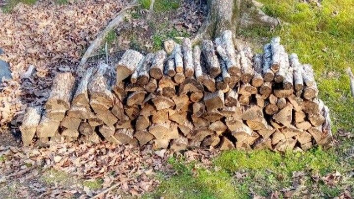 Seasoned Oak Firewood