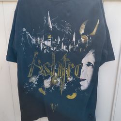 RARE🔥 Ashtro Tees X Harry Potter Oversized Large T-Shirt Voldemort Hogwarts 