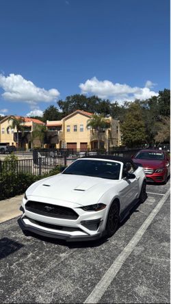 2019 FORD MUSTANG ECOBOOST PREMIUM