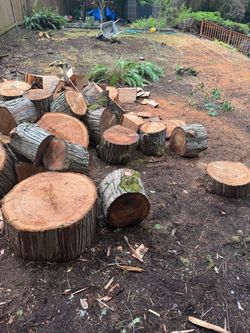 Free wood - must go Tuesday 9/15 first come