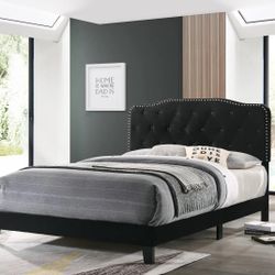 $99 Full Bed frame Only