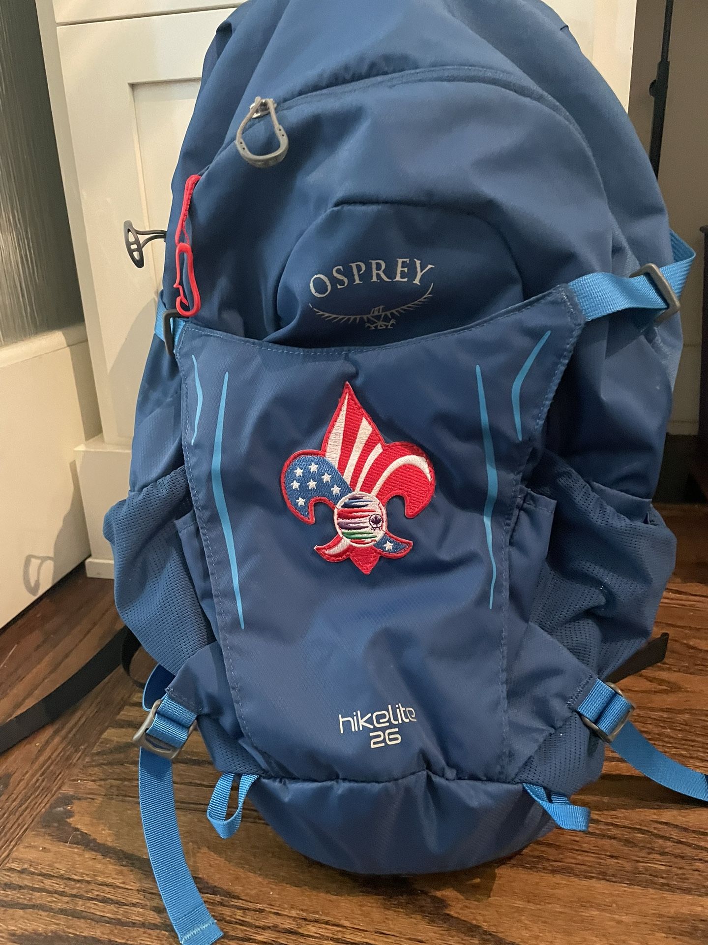 Osprey Hiking Backpack 
