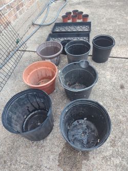 All planters pots lot only 5$