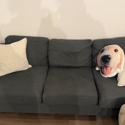 Dark Gray 3-Seater Sofa w/ USB& Power Outlet– $120 (Bellevue)