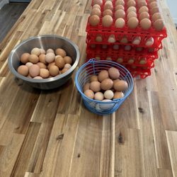 Farm Fresh EGGS! $6 a Dozen
