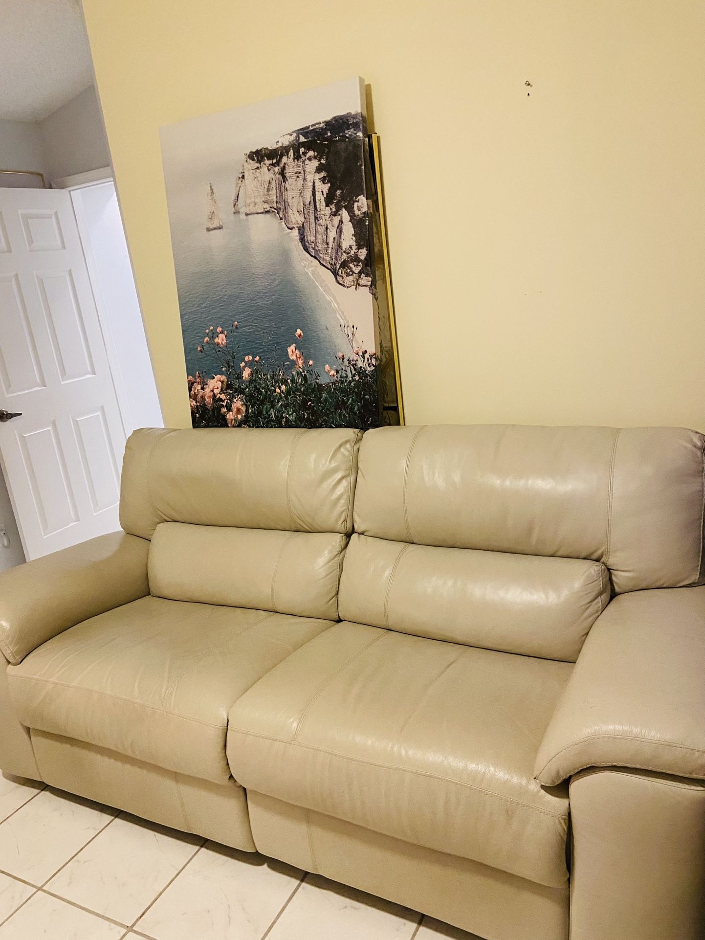Sofa, Recliner, Electric, Real Leather