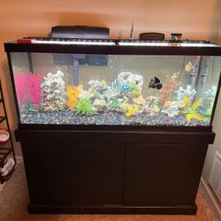 75 Gallon Fish Tank