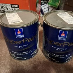 Sherwin Williams Super Paint Interior Satin White Paint 2 Gallons 7103 Whitetail
