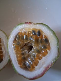 Yellow Passion Fruits