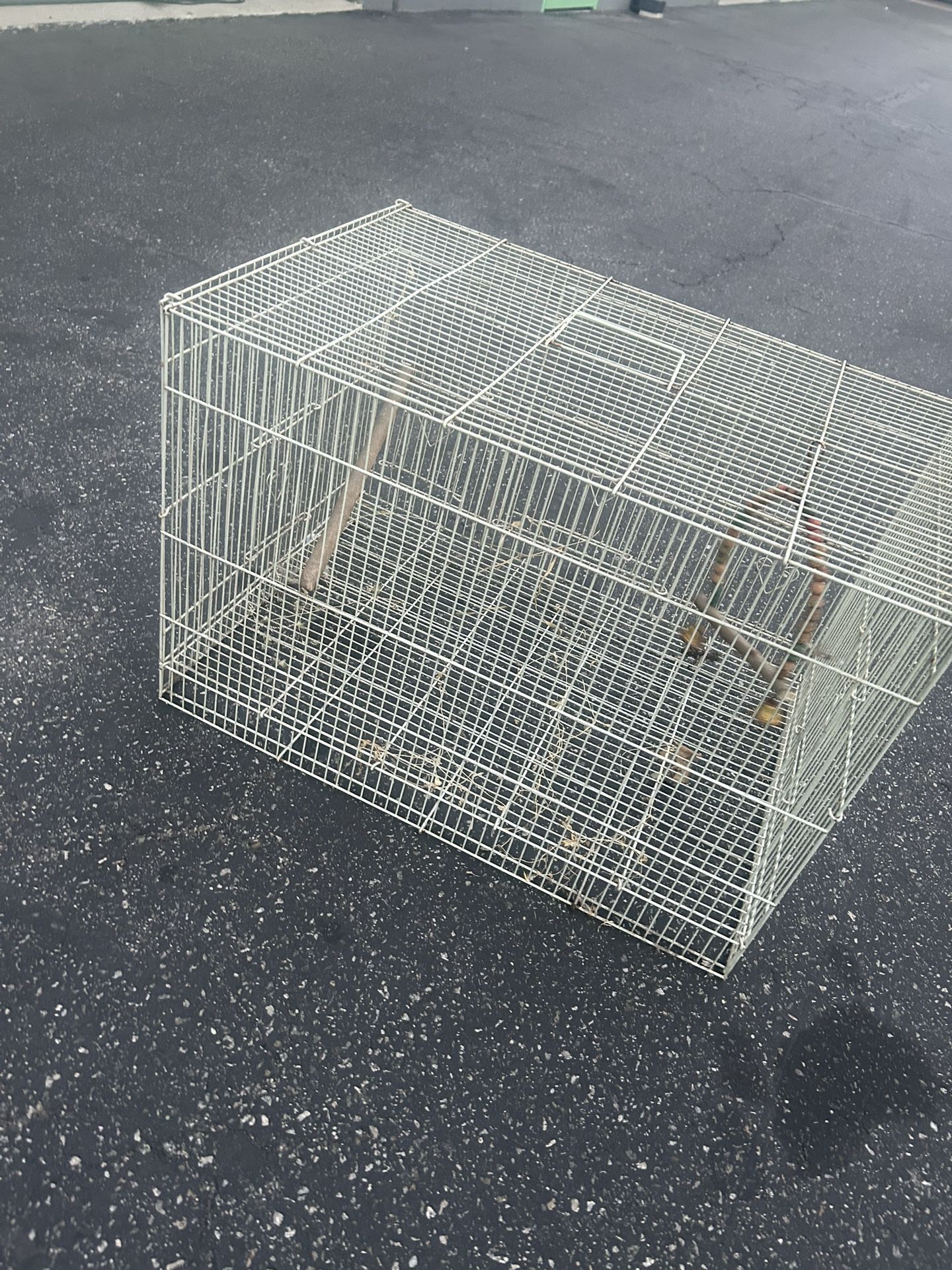 Bird Cage