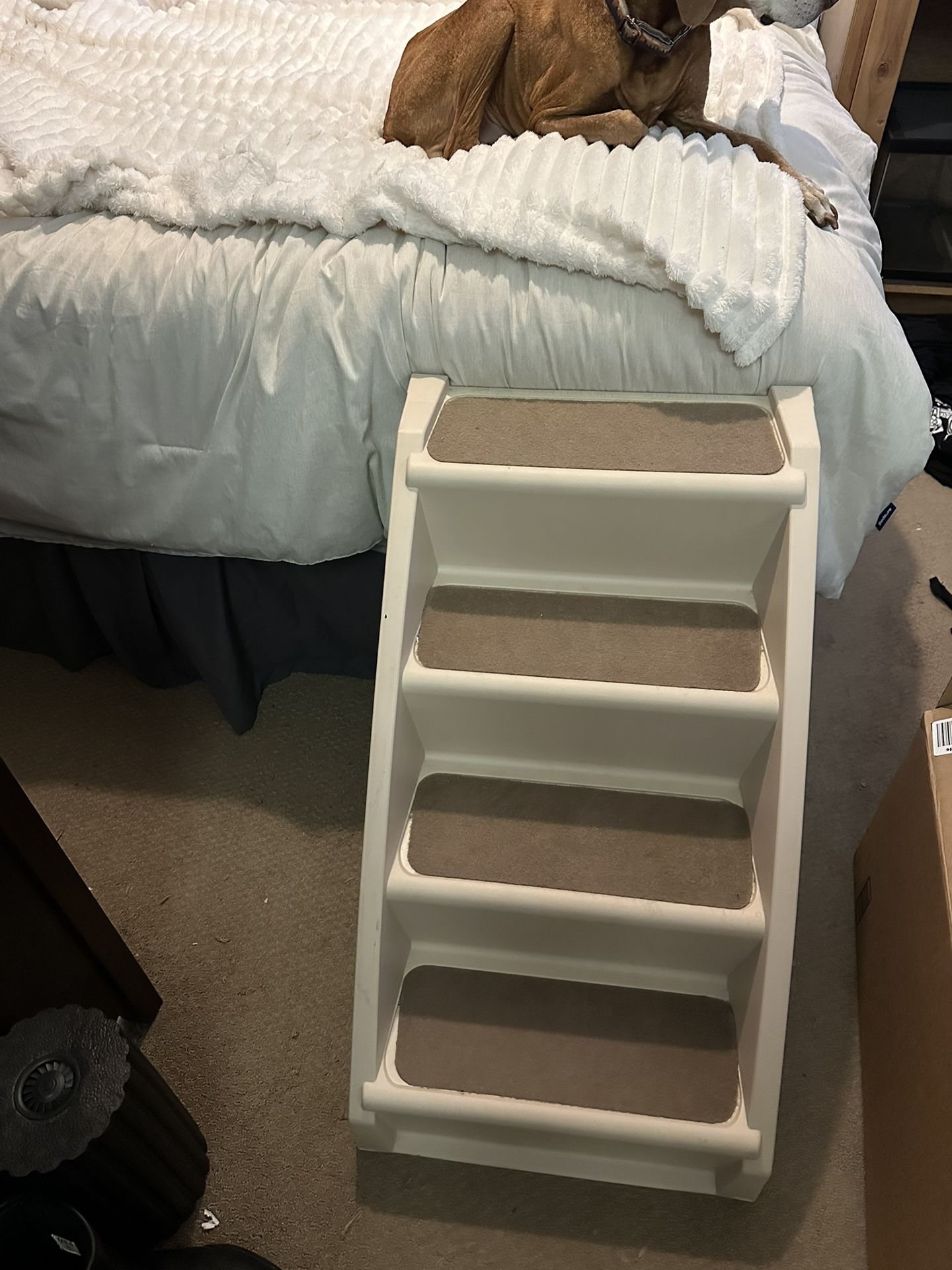 Free Pet Stairs