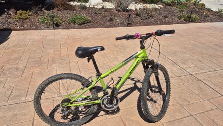 Nishiki Youth Mountain Bike - Lime Green
