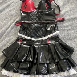 Harley Quinn Halloween Costume 