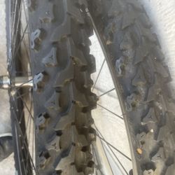 Mountain Bicycle Tires And Rims 