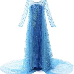 Elsa Halloween Costume dress