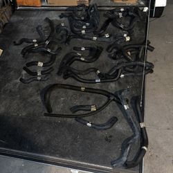 Radiator Hoses