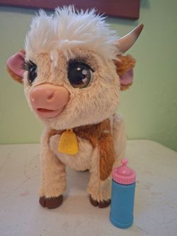 Maggie the cow