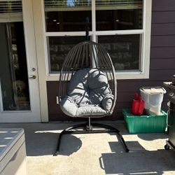 Hanging Egg Chair 