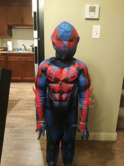 2 kids costumes