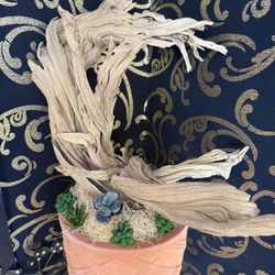 Nature Decoration Ghost Wood