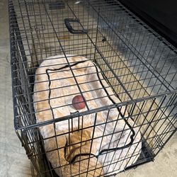 Dog Cage Large