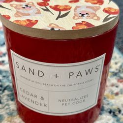 Large Sand And Paws Candle 🐶🐾