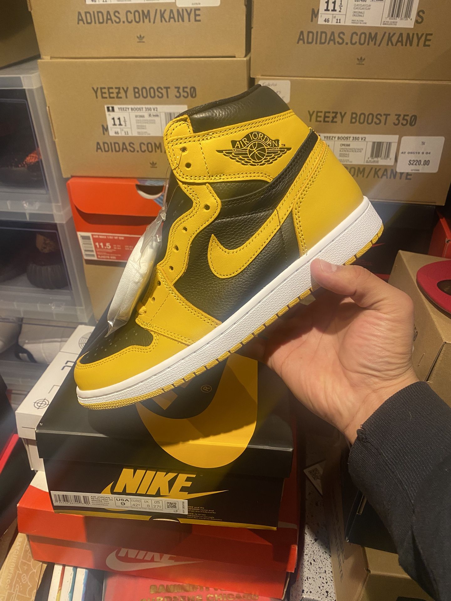 Aj1 Pollen