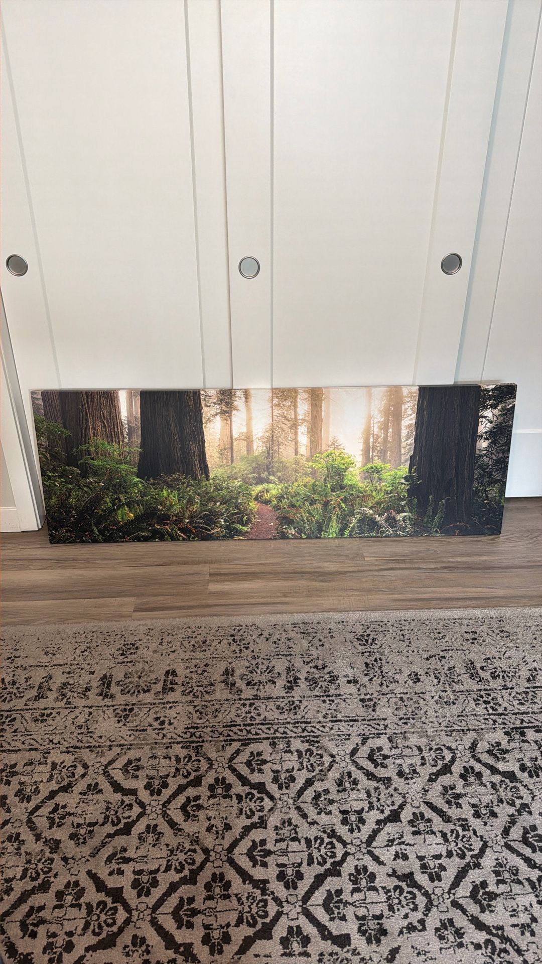Panoramic Forest Canvas Print - 60 x 20
