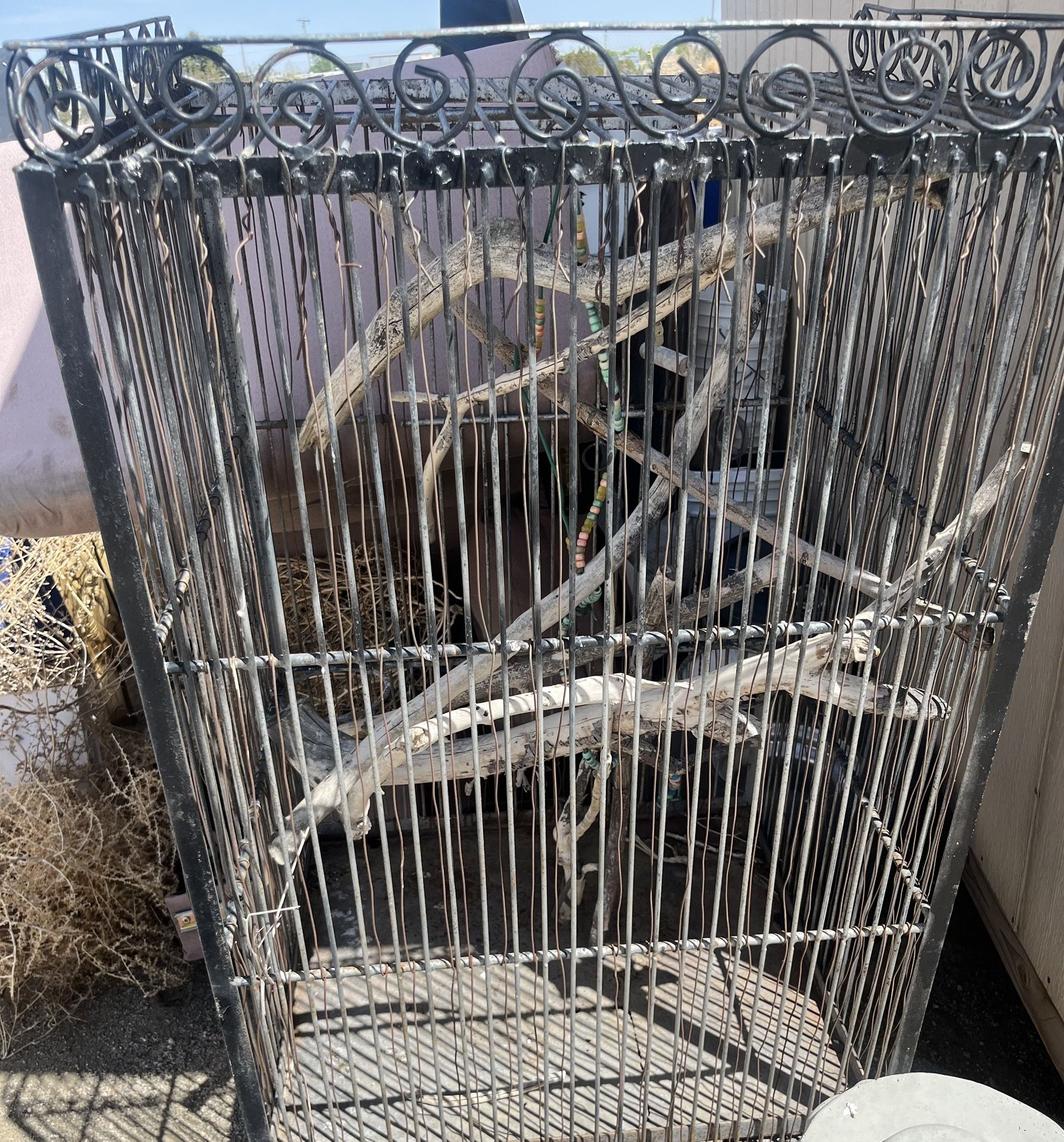 Bird Cage