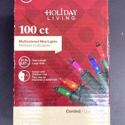 100ct Multicolor Mini Christmas Light Holiday Living Indoor/Outdoor New in Box