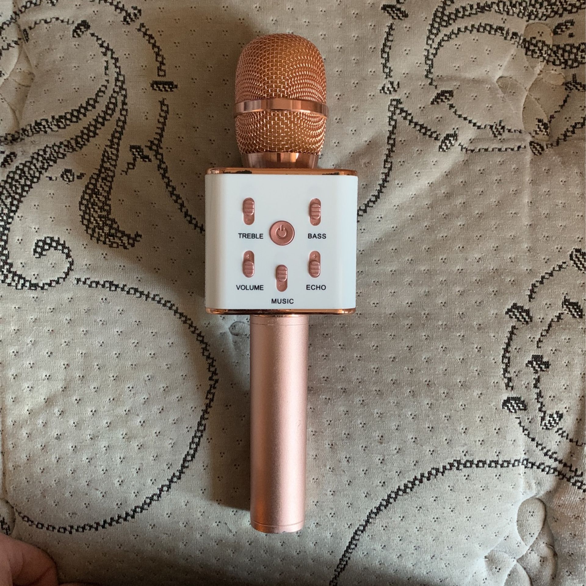 my karaoke speaker and mic