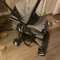 Dog Carriage