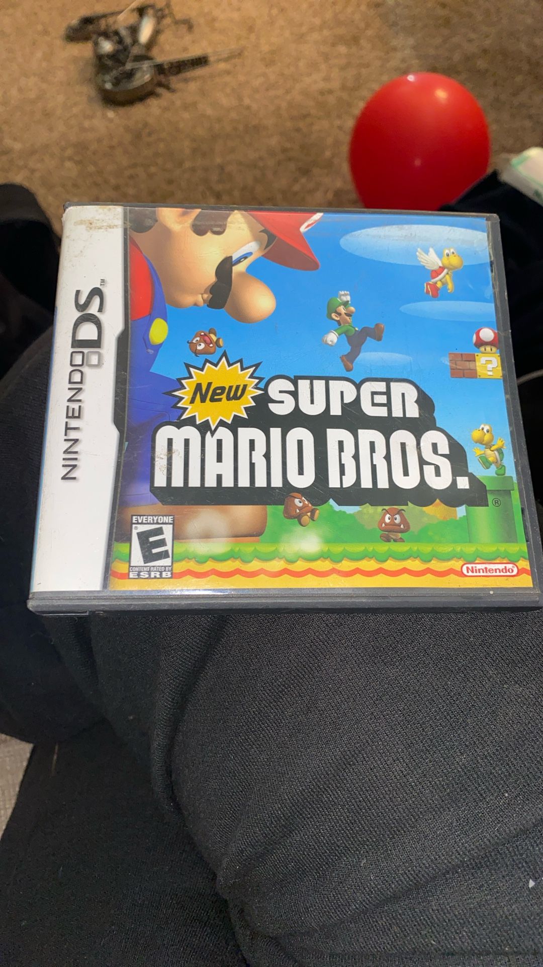 Super Mario Bros Nintendo DS Game
