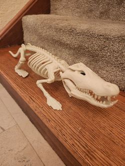 Crocodile Skeleton Halloween Decoration