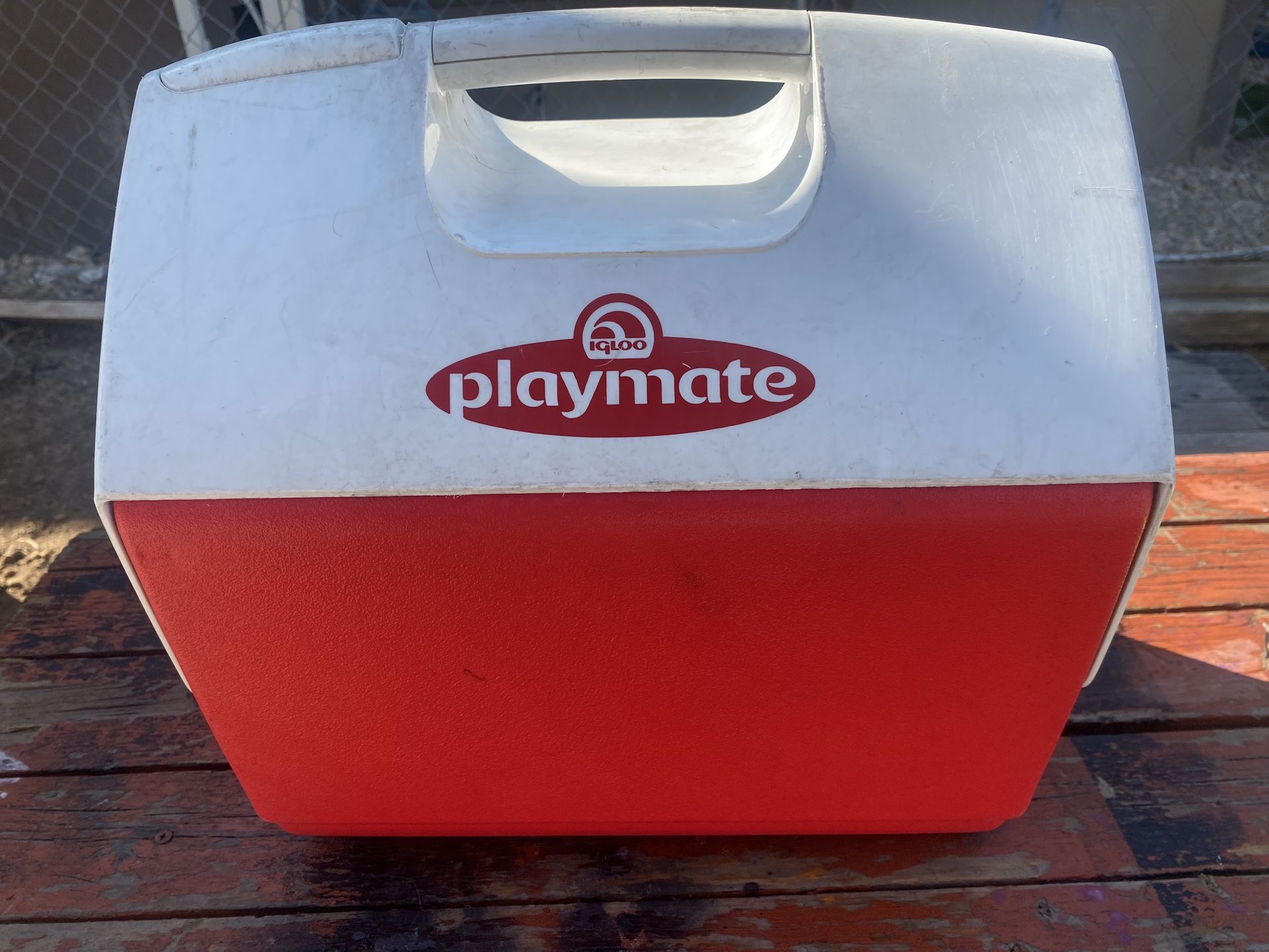 Igloo Playmate Elite Red 15 × 14 Inch