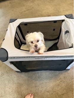 Folding Travel kennel