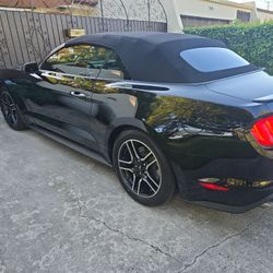 2021 Ford Mustang Ecoboost   