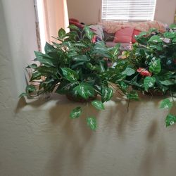 Artificial  Decorative Plants