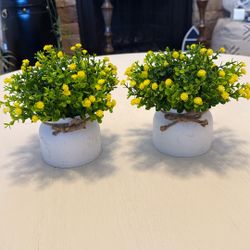 Artificial Plants”2” 