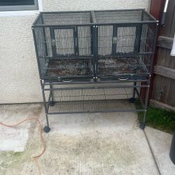 Bird Cage $100.00