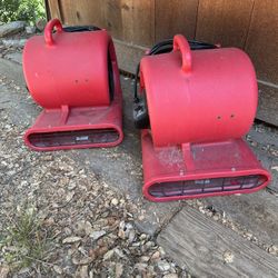 Drying Fans