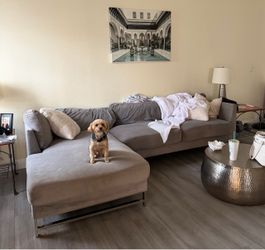 Sectional gray couch